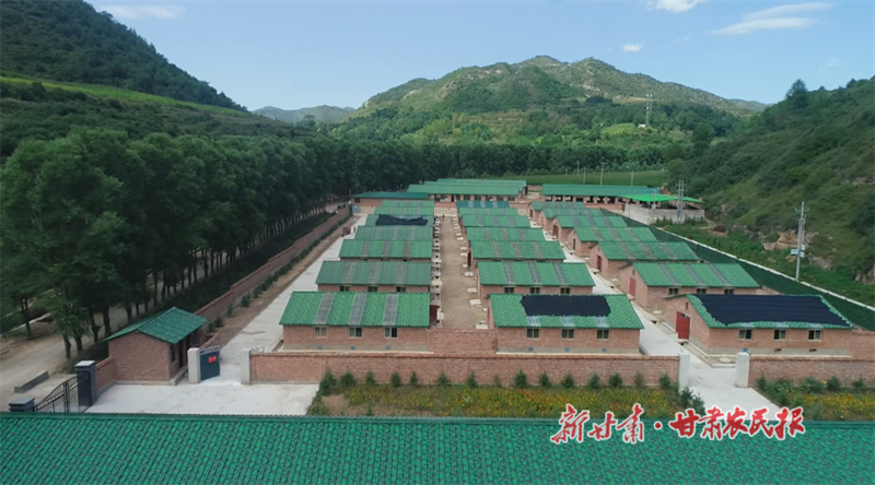 华亭：“牧”浴好春光 “畜”势勃发时