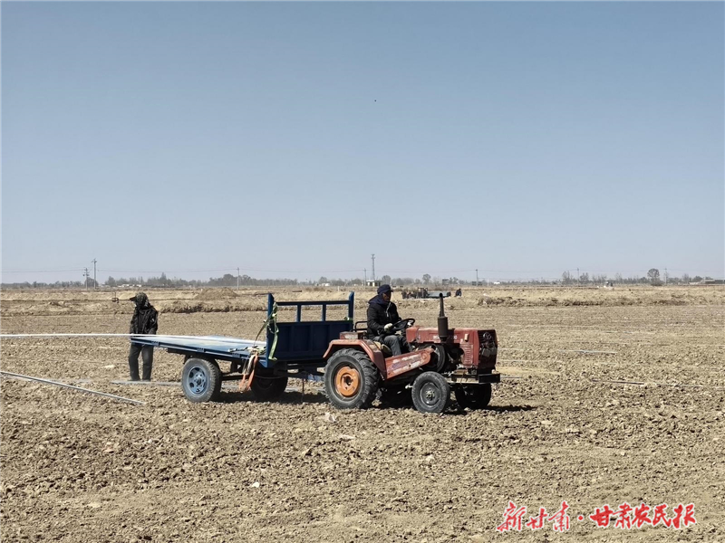 “连体拱棚+智慧滴灌”！解码民勤蜜瓜四季供应密码