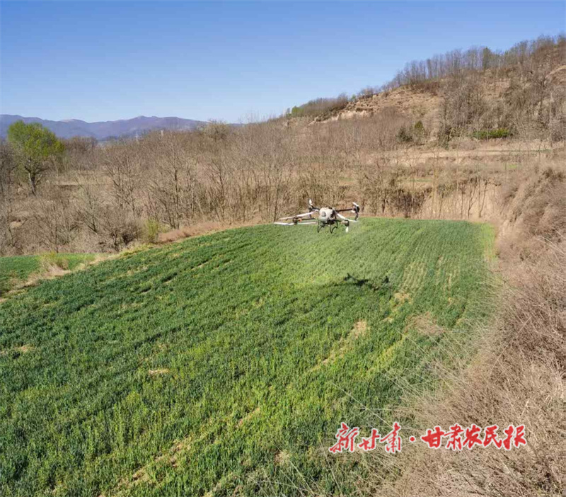 华亭：四月田间管护忙 “一喷三防”保丰收