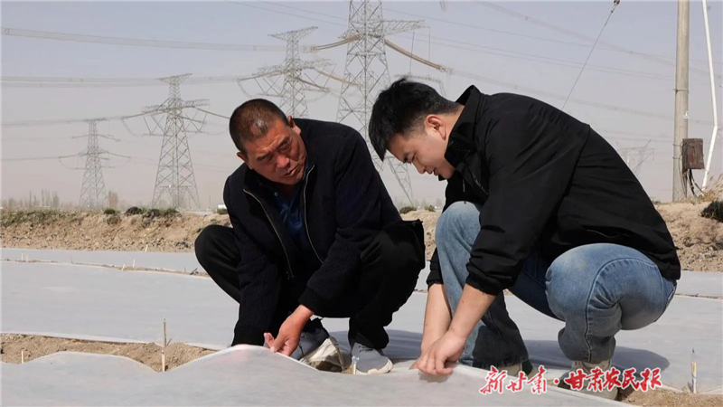 永昌：新“膜”法 开辟蔬菜种植新路径