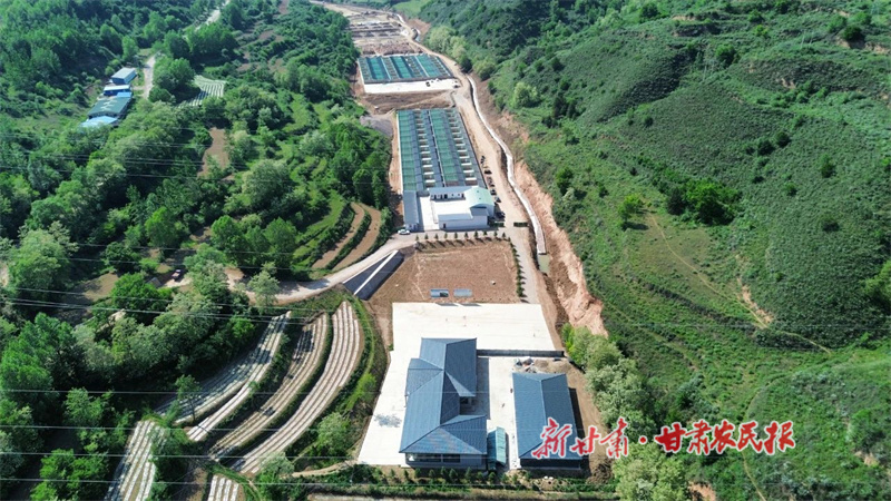 华亭：推动农业全链条提档升级