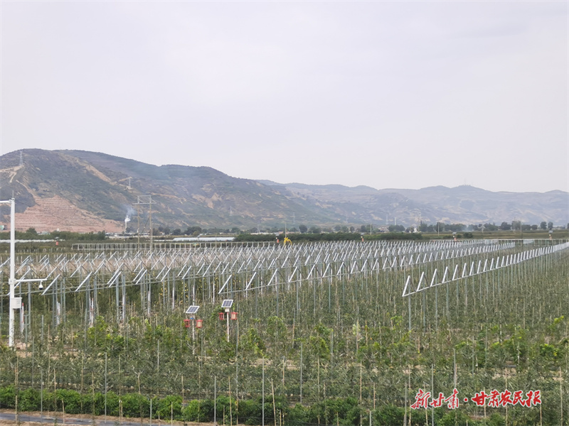 2025年甘肃省民营企业服务月活动启动