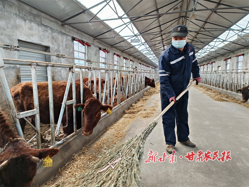 华亭：产业发展“牛劲”十足