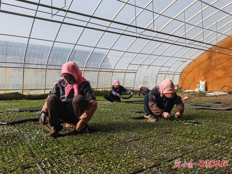 杨文俊的“三变”生活