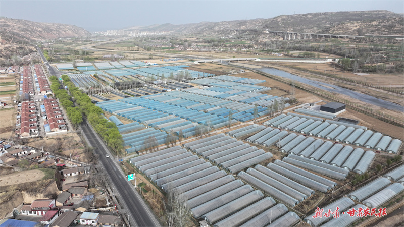 庄浪：关山药材“链”出富民产业