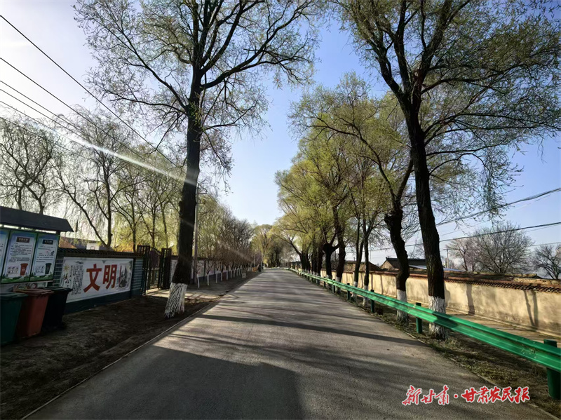 崆峒区：擦亮乡村底色助振兴