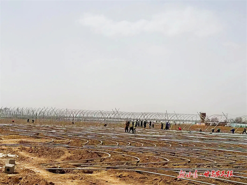 灵台:从传统耕作到“数字种田”