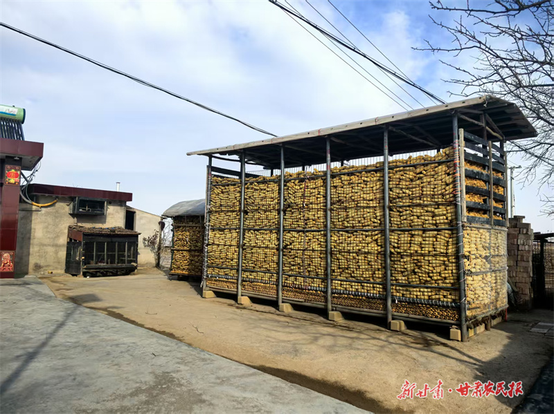 崆峒区：“蛋鸡”养殖赋能乡村振兴