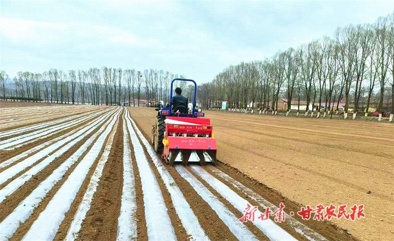 华亭：大豆玉米做“邻居” 一地双收有“钱”途