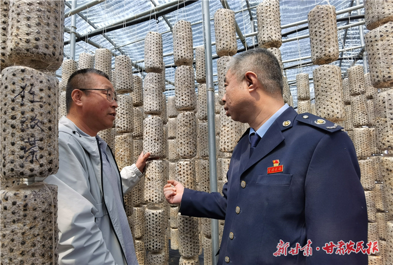 庆阳：“税动力”激活 “三元双向”循环农业新动能