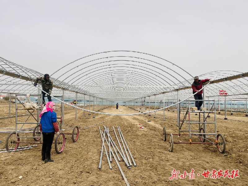 凉州区：瓜菜产业园“火力全开” 奏响乡村振兴奋进曲