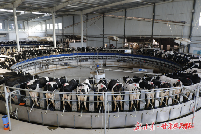 武威税务：合规兴农牧业旺 乡村振兴牧歌扬