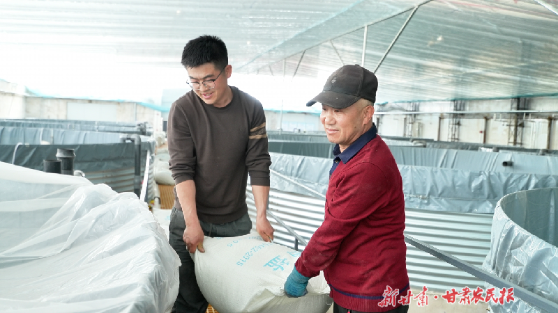 戈壁滩上“养”出活海鲜！金昌本地产首批南美白对虾预计6月上市