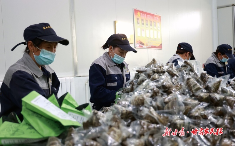 康县：“五一”不“打烊” 端午订单加工忙