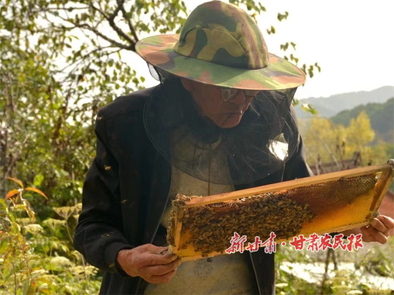 华亭:养好小蜜蜂致富“甜蜜蜜”