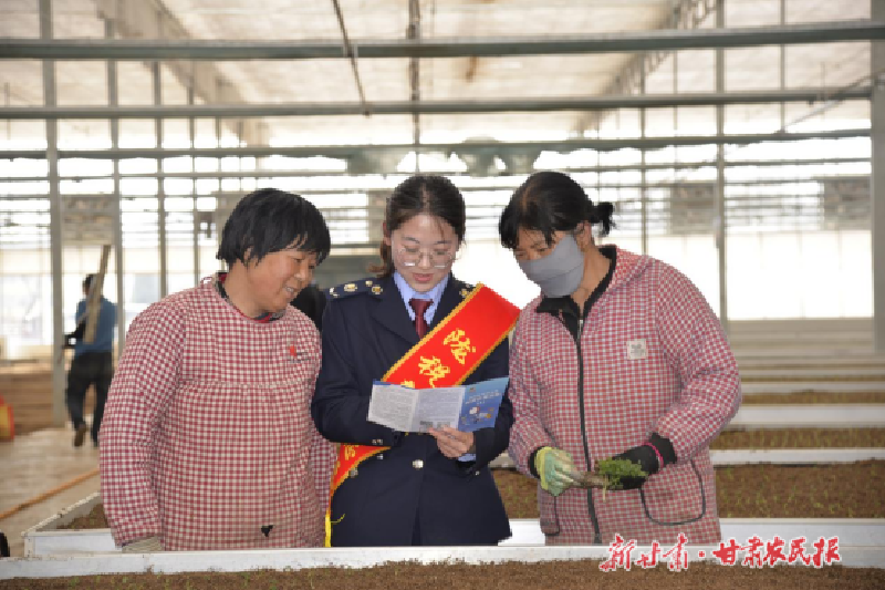 定西：以税为“笔” 点睛乡土特色品牌