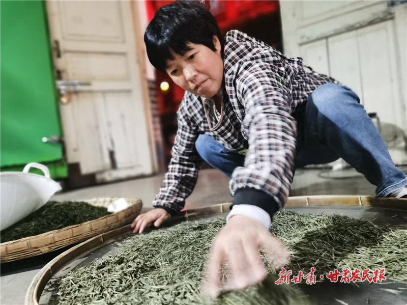 阳坝的茶——康县阳坝镇加速推进茶旅融合发展掠影