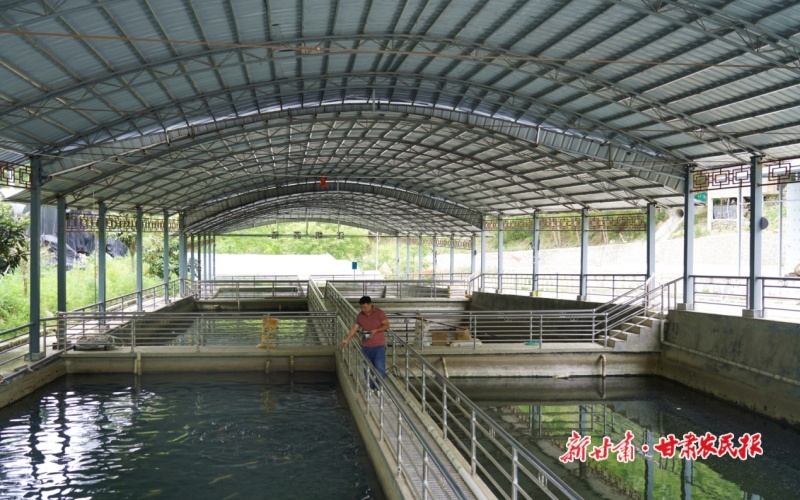 康县:“芋鱼搭档”让康南小镇焕发活力