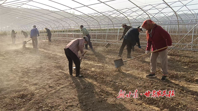 华亭:大棚架起致富桥,技术销路双护航