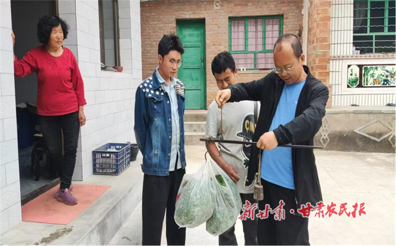 华亭:打开山野菜销售新路子 鼓起群众增收致富钱袋子