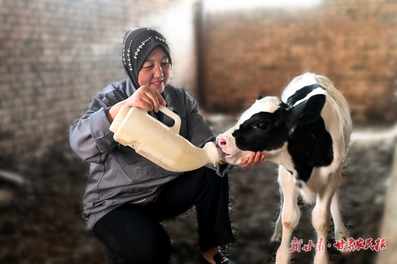 “牛人”的“牛劲”人生——记全国劳动模范荣誉获得者马丽萍