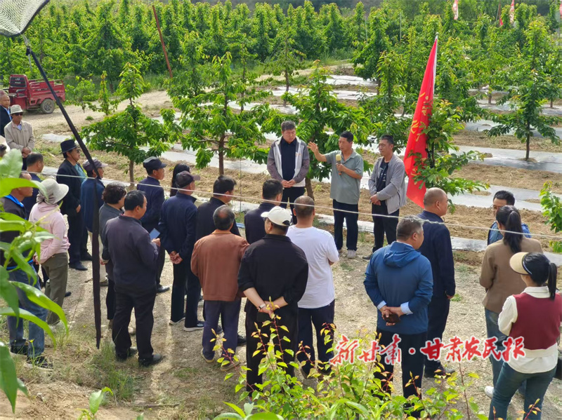 秦州区中梁镇:农民党员充电赋能显担当