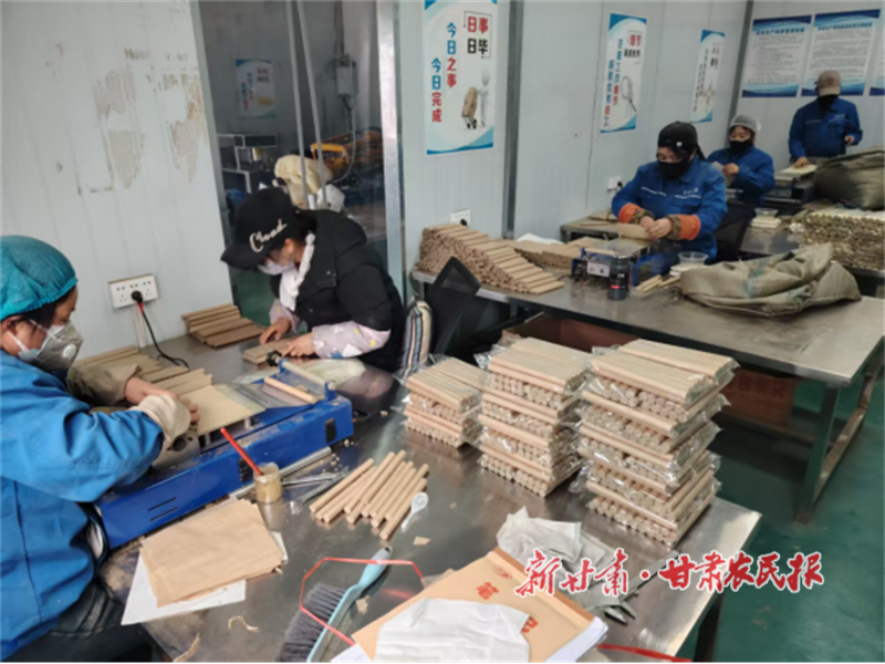 秦州区齐寿镇:艾草“金钥匙”开启乡村振兴“致富门”