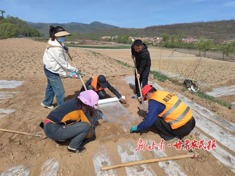 华亭:“土专家” 田间 “把脉”,科技兴农铺就富民路