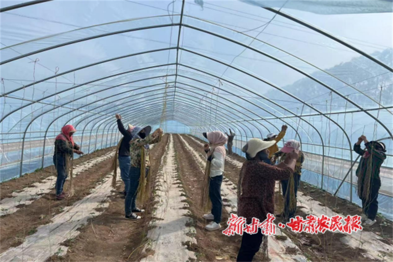 华亭:门口务工得实惠 群众增收有保障