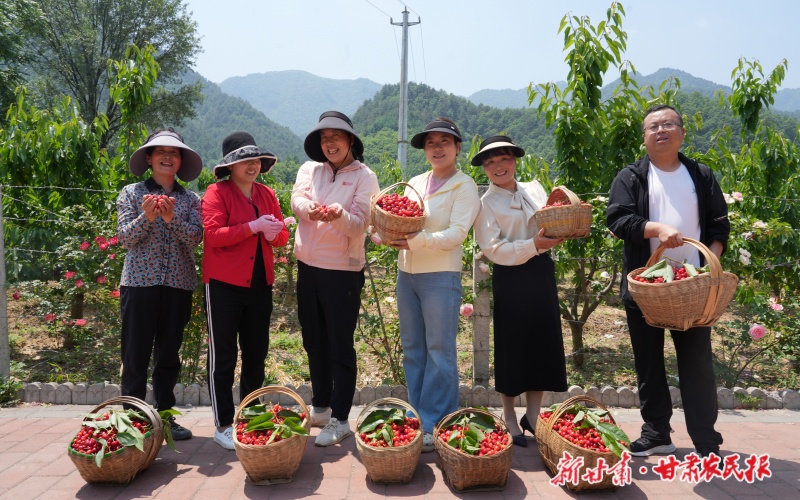 康县王坝镇:车厘子映红乡村振兴路