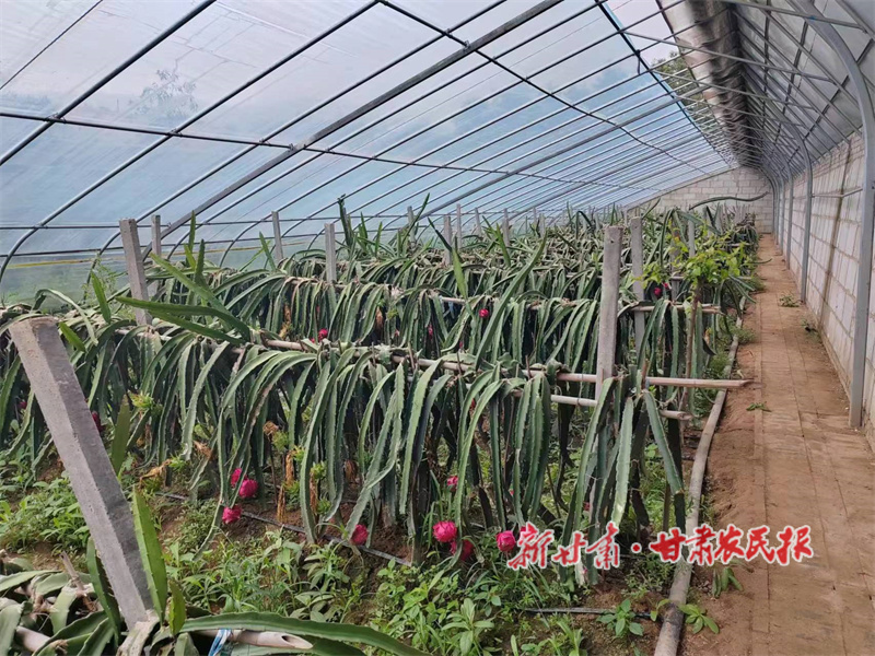 华亭:村美民富幸福来