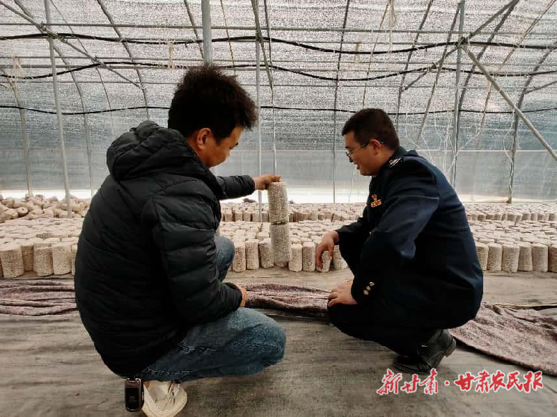 包永龙的“小菌棒”和税务的故事