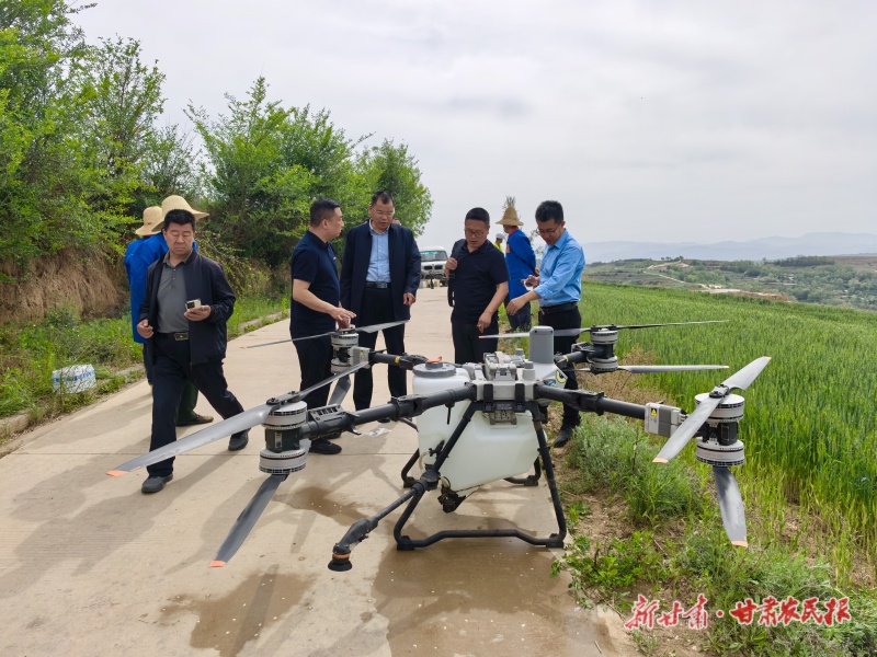 植保无人机为小麦稳产喷农药