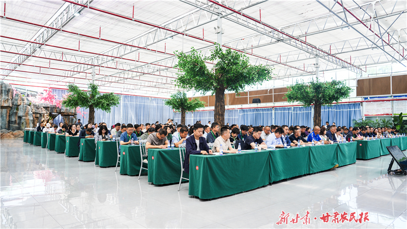 解锁乡村蝶变“密匙”——甘肃省农文旅融合发展现场推进会侧记