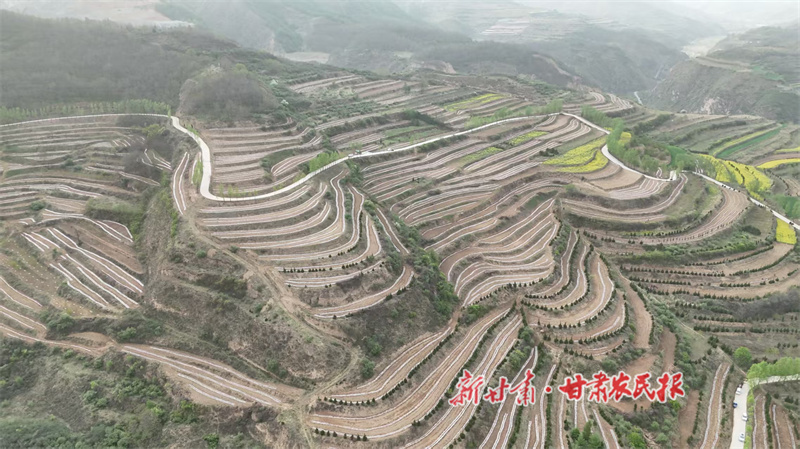 秦州区皂郊镇:扛牢责任担当 推动乡村全面振兴