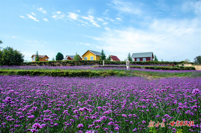 农文旅融合的“永吉答案”——宁县瓦斜乡永吉村农文旅融合发展观察