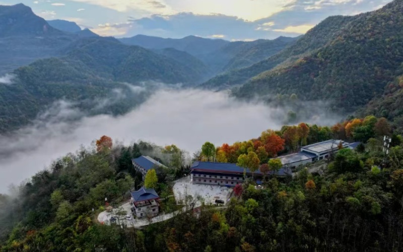 两当“森”呼吸，康养“慢”生活