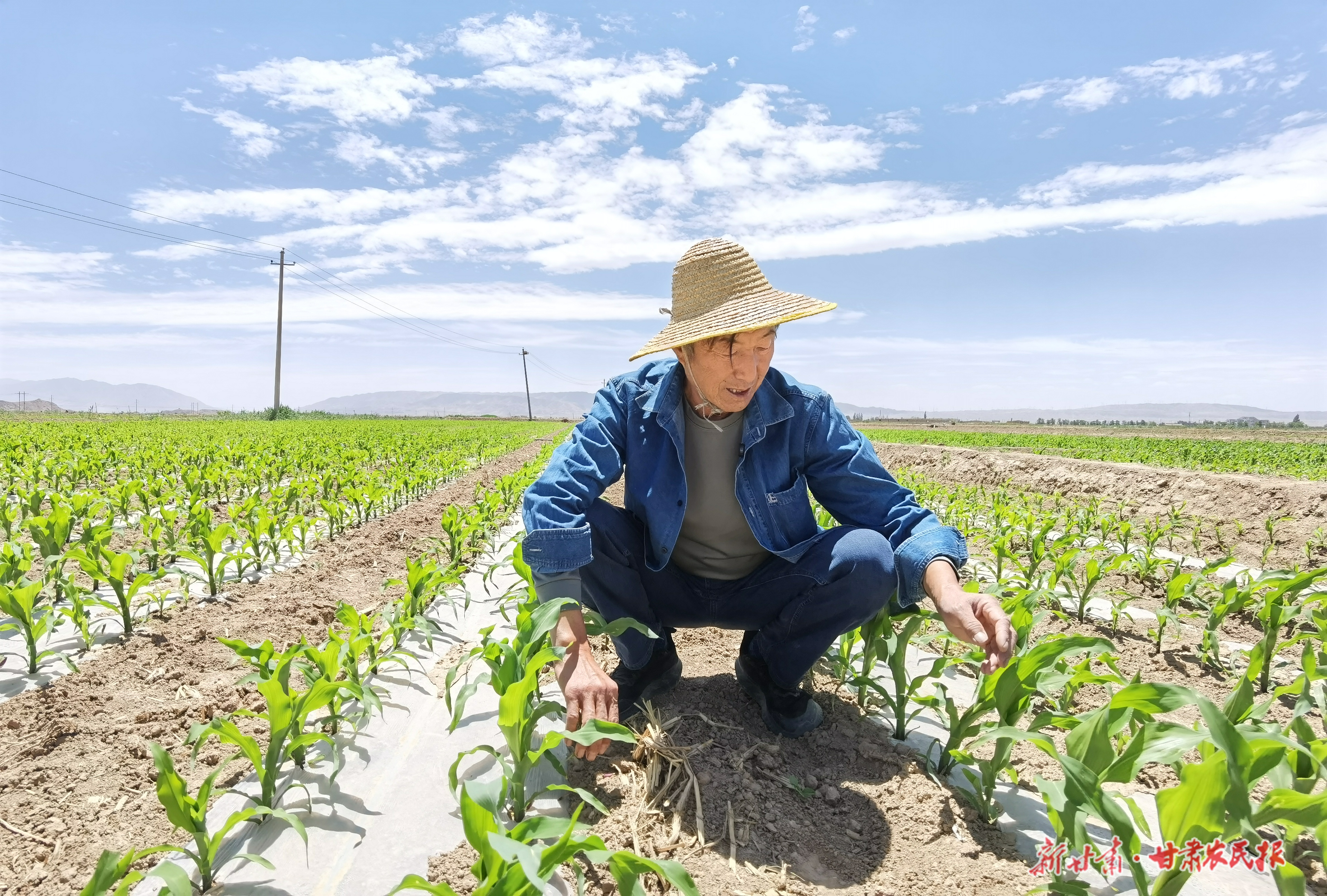 景泰：盐碱荒滩“逆袭记”