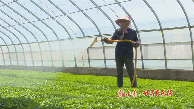 华亭：聚“椒”招商 奏响乡村振兴“椒”响曲