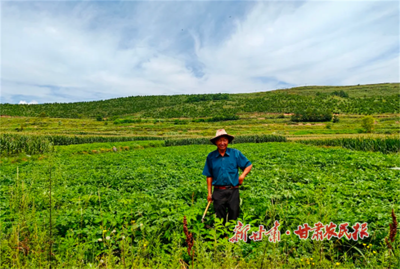 华亭：从“千年药乡”到“智慧药谷”的破圈实践