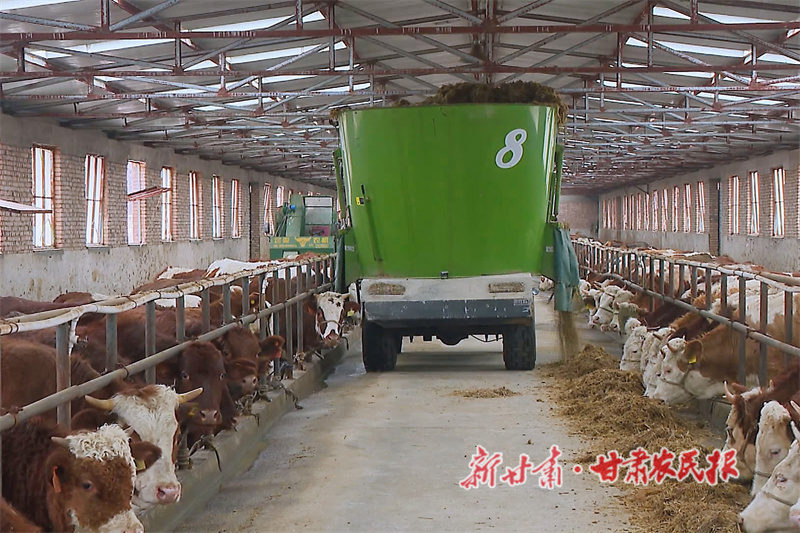 华亭：全链升级奏响乡村振兴“牧歌”