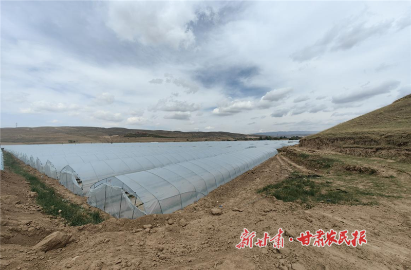 平川区：多元产业融合助推集体经济发展