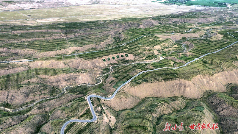 凉州南山的绿色嬗变