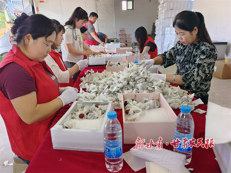 电商助力 秦州大樱桃跑出新鲜“加速度”