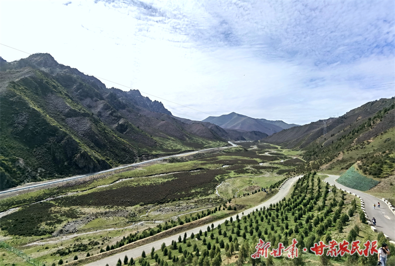 向“绿”而行唱响生态文明“协奏曲”