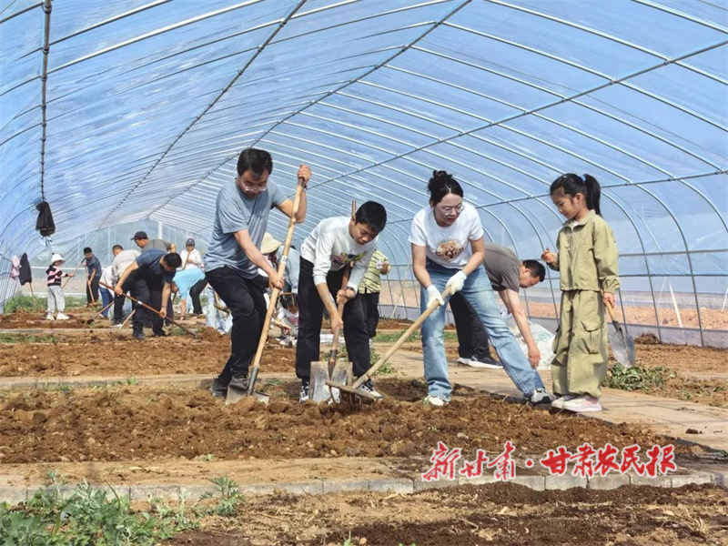 华亭：打造田间思政课，构建育人新阵地