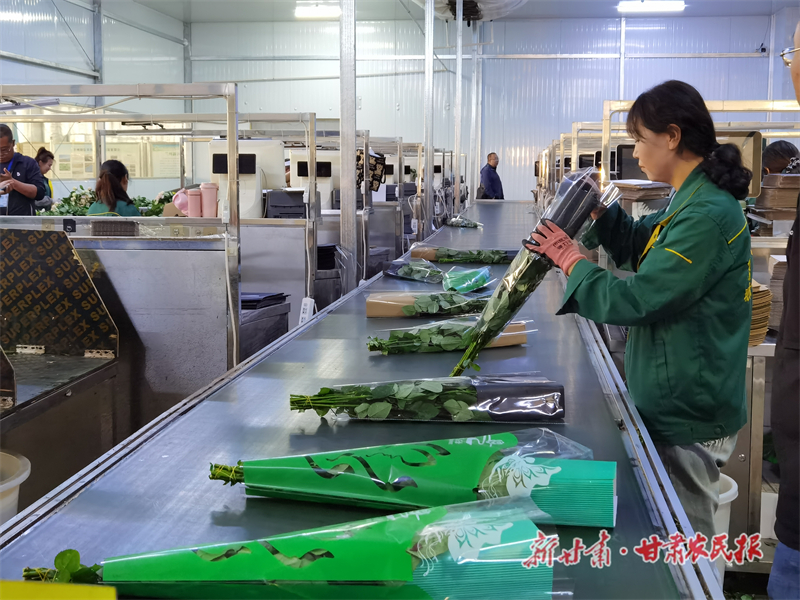 鲜花绽放的生态密码