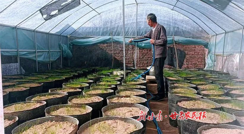 华亭：方寸土地间的“致富密码”