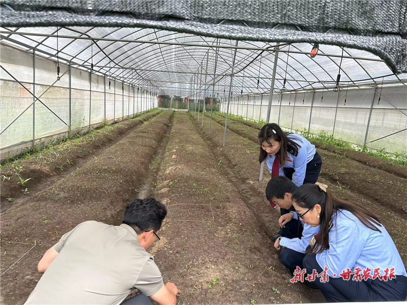 合作税务：税慧赋能 高原“藏药”产业绽放新动能