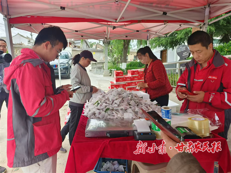 48小时极速送达 云销售让“清晨枝头红”到“隔日餐桌甜”成现实